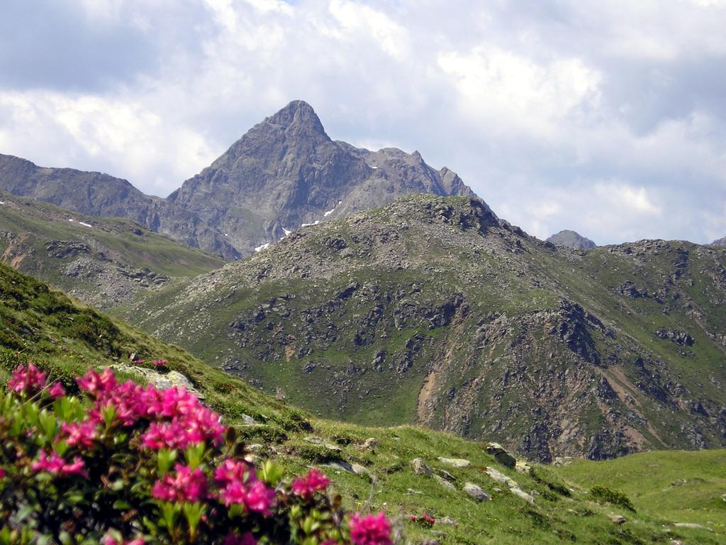 Pension Stoffler Sankt Veit in Defereggen Bagian luar foto